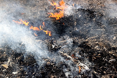 В Брестской области в марте произошло более 120 загораний травы и кустарников