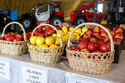 Русый о работе автолавок и сельмагов: люди должны иметь возможность купить все, что они хотят
