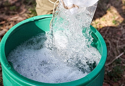 На квас и витаминные напитки. В Витебской области идет заготовка березового сока