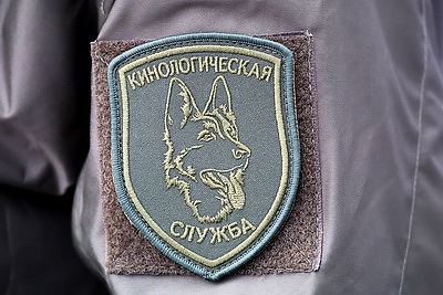 Здесь человек и собака понимают друг друга \"с первого взгляда\". Как несут службу кинологи в Бобруйском отделе Департамента охраны