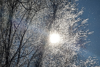 ФОТОХРОНИКА начинает новый информационный день