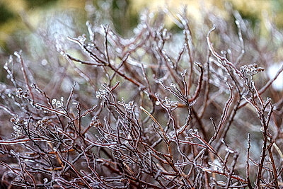 Стеклянный дождь в Гродно