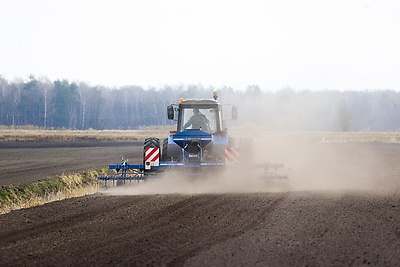 Аграрии Брестской области продолжают сев ранних яровых зерновых и зернобобовых культур
