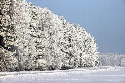 Ночью до -25..-30°С ожидается в Беларуси 15 января