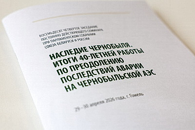 Более 1 тыс. детей из пострадавших от ЧАЭС районов Беларуси и РФ оздоровятся за счет Союзного государства в 2026 году