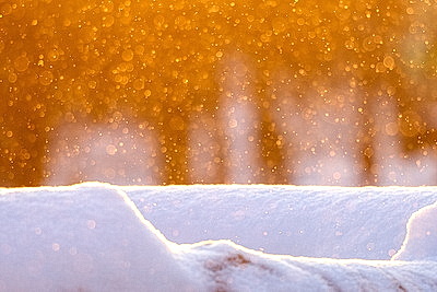 Солнечный январский день в Минске