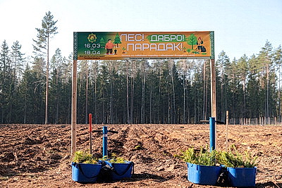 Члены Совета Республики приняли участие в акции \"Лес! Дабро! Парадак!\" в Столбцовском районе