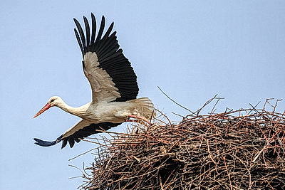 ФОТОХРОНИКА начинает новый информационный день