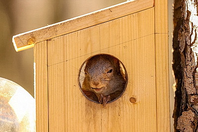 ФОТОХРОНИКА начинает новый информационный день