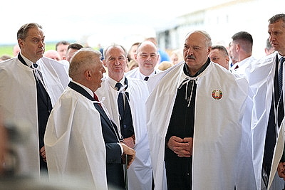 Лукашенко ознакомился с развитием племенного животноводства