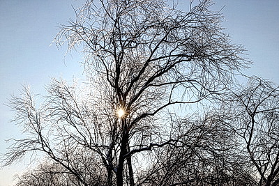 Морозный зимний день: снегопад не повод сидеть дома для активных жителей