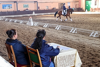 Олимпийские дни молодежи по выездке стартовали в Гомеле