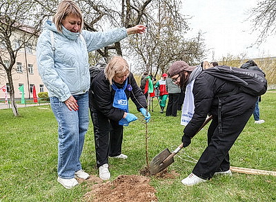 \"Символ мая, Победы, добра и плодородия\". В Беларуси проходит акция \"Яблоневый сад\"