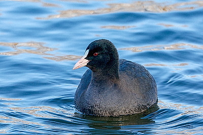 Зимний пейзаж