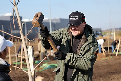 Республиканский субботник: депутаты Палаты представителей благоустроили столичный парк