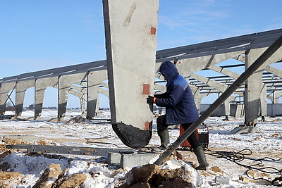 В Гомельской области возводят самый крупный в Беларуси свиноводческий комплекс