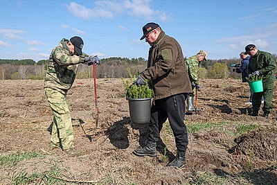 Молодой лес, обновленные улицы, цветники: Жировичи всем миром вышли на субботник