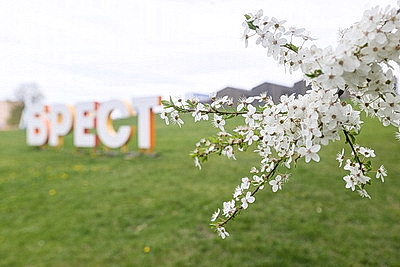 Яркие краски брестских улиц