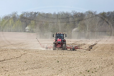 \"Погода испытывает на прочность, но мы не пасуем\". В Быховском районе активно сеют кукурузу на зерно