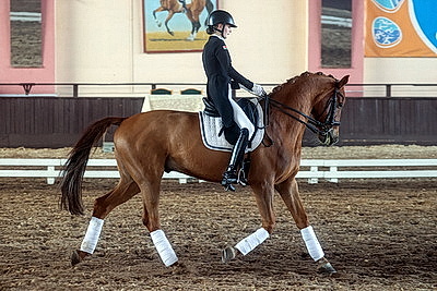 Олимпийские дни молодежи по выездке стартовали в Гомеле