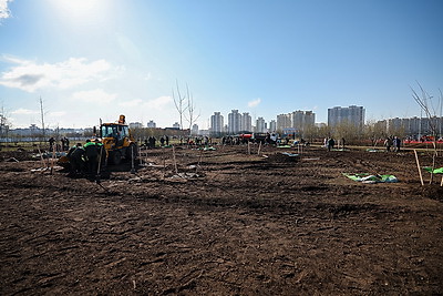 Республиканский субботник: депутаты Палаты представителей благоустроили столичный парк