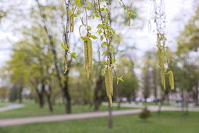 Яркие краски брестских улиц