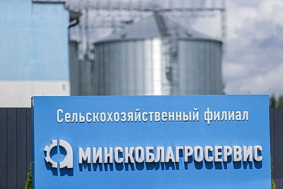 От поля до хранилища. Как с помощью инновационных технологий на зерносушильных комплексах сохраняют урожай