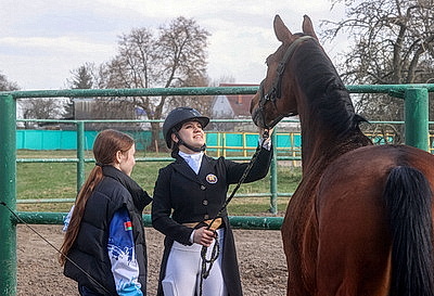 Олимпийские дни молодежи по выездке стартовали в Гомеле