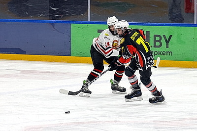 В Гомеле стартовал областной этап соревнований \"Золотая шайба\" в старшей группе