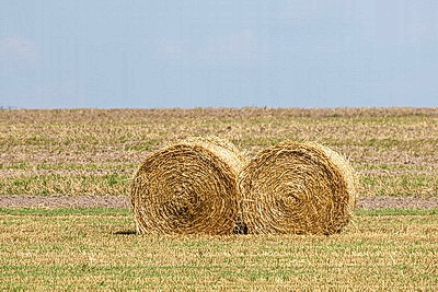 Представители прокуратуры контролируют уборочную кампанию в Гомельской области