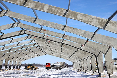 В Гомельской области возводят самый крупный в Беларуси свиноводческий комплекс