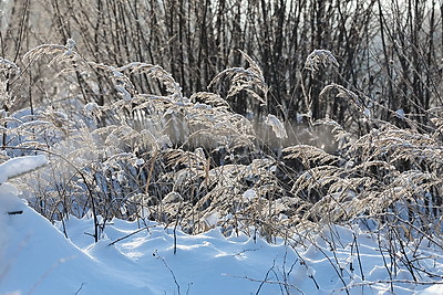 ФОТОХРОНИКА начинает новый информационный день