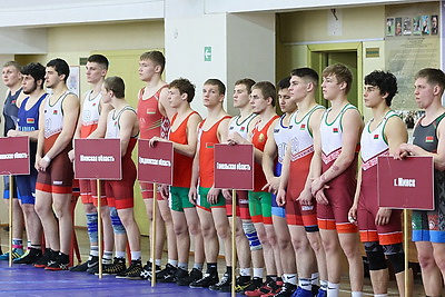 Турнир по вольной борьбе памяти заслуженного тренера БССР Валерия Зубкова открылся в Витебске