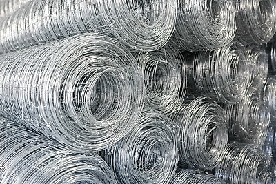 Что делают в Минской области для снижения количества ДТП с дикими животными