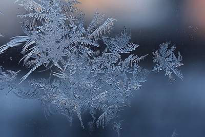 ФОТОХРОНИКА начинает новый информационный день