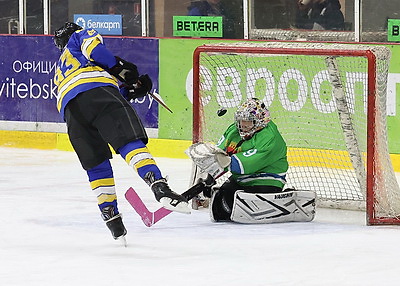 В Витебске завершился областной турнир по хоккею \"Золотая шайба\"