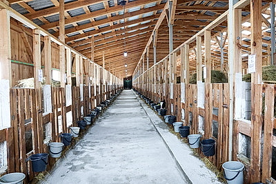 Условия региона, соблюдение технологий. Минсельхозпрод о подходах при строительстве профилакториев для телят