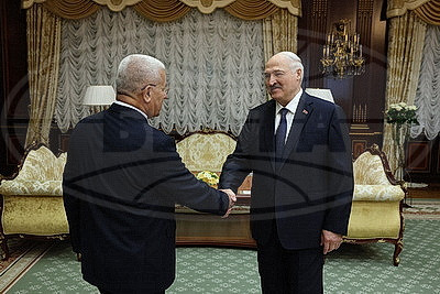 Лукашенко: Беларусь хотела бы иметь продвинутые, серьезные отношения с Алжиром