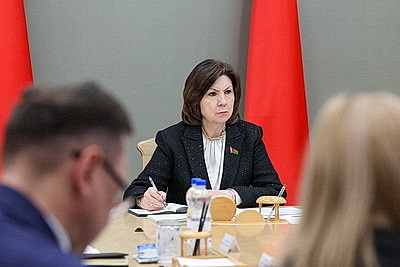 Изменения в закон о гражданстве рассмотрели на экспертном совете при Совете Республики