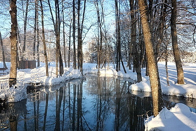 ФОТОХРОНИКА начинает новый информационный день