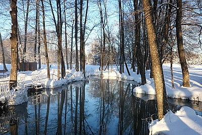 ФОТОХРОНИКА начинает новый информационный день