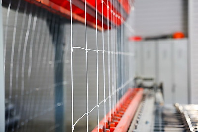 Что делают в Минской области для снижения количества ДТП с дикими животными