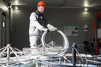 Что делают в Минской области для снижения количества ДТП с дикими животными