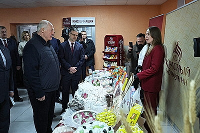Cельское хозяйство и \"кондитерка\". Лукашенко посетил Наровлянский район