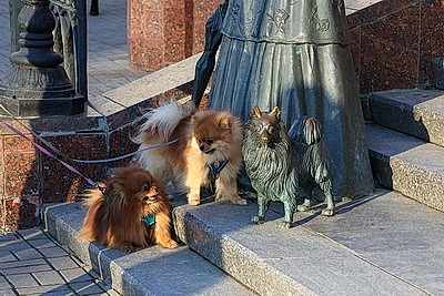 ФОТОХРОНИКА начинает новый информационный день