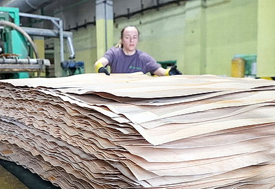 \"Речицадрев\": современное производство с женским лицом