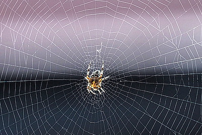 ФОТОХРОНИКА начинает новый информационный день