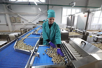 Турчин посетил Солигорскую птицефабрику