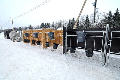 В Минской области в 2026 году планируют построить 111 профилакториев на 20 тыс. телят