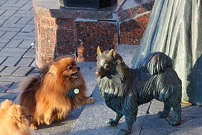 ФОТОХРОНИКА начинает новый информационный день